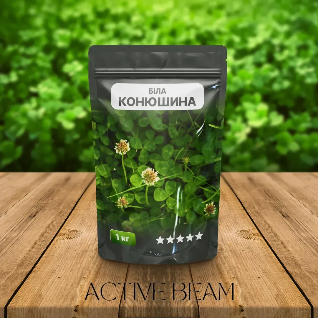 Біла конюшина
